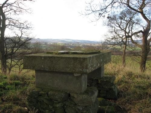 Hobby Hall's Stone